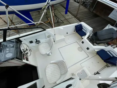 Polyester Speedboat Bayliner Trophy Photo 14