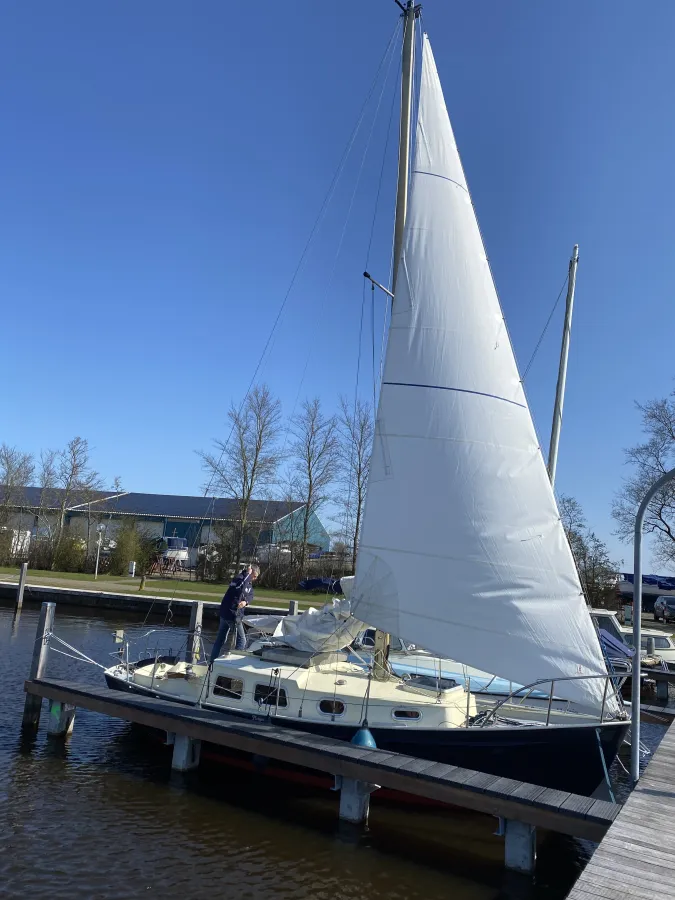 Steel Sailboat Gillessen Kajuitzeilboot