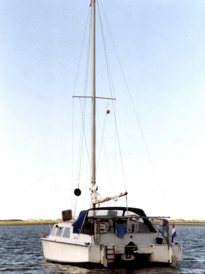 Polyester Sailboat Catalac 8