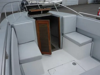 Polyester Speedboat Wellcraft 30 Photo 5