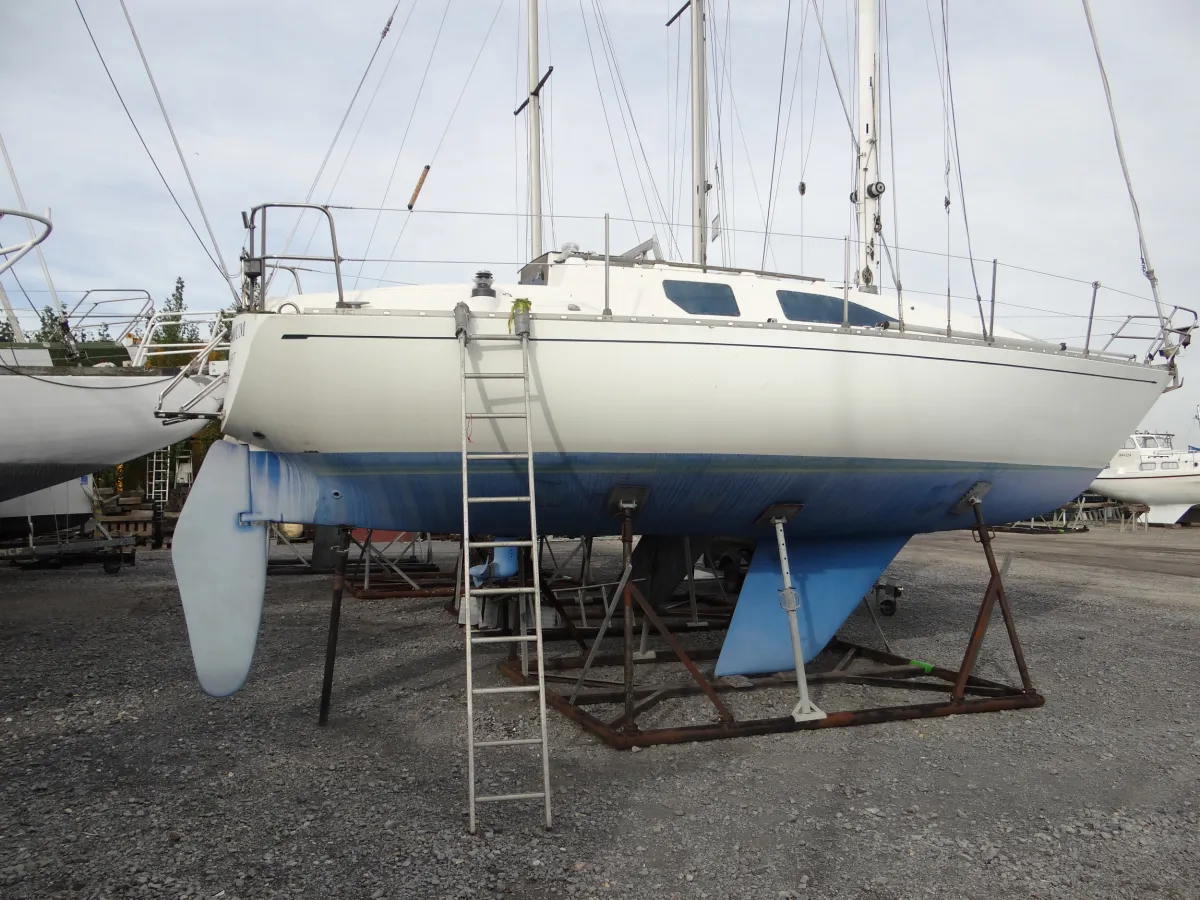 Polyester Sailboat Carter 301