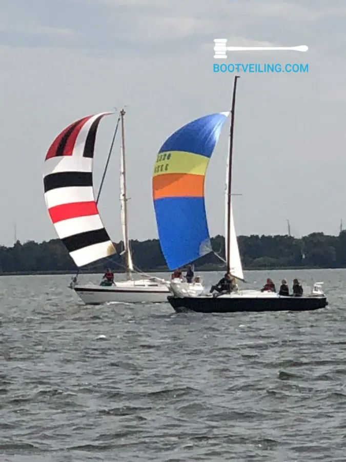 Polyester Sailboat J24 Zeilboot