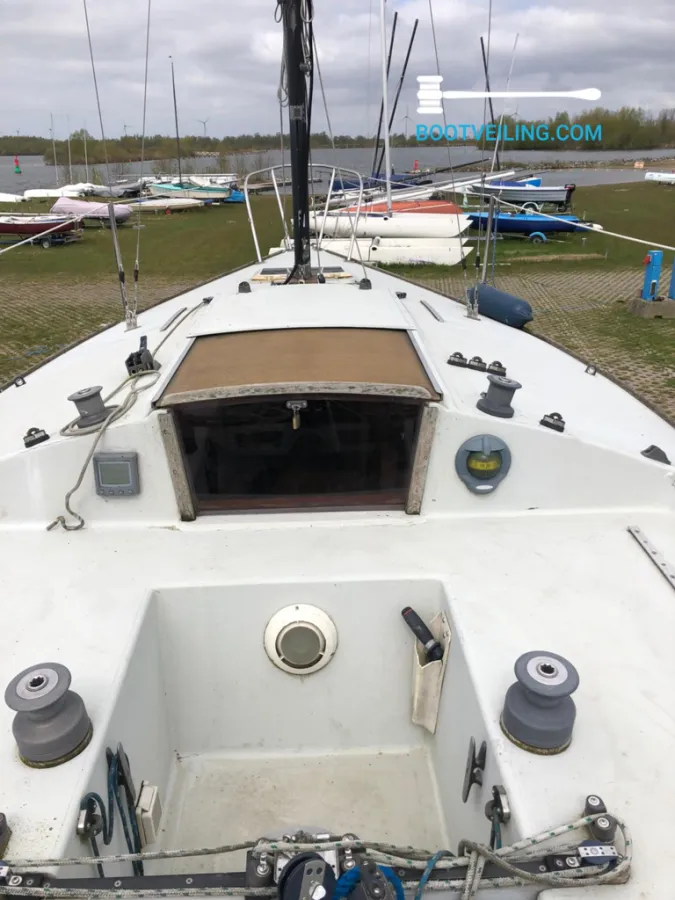 Polyester Sailboat J24 Zeilboot