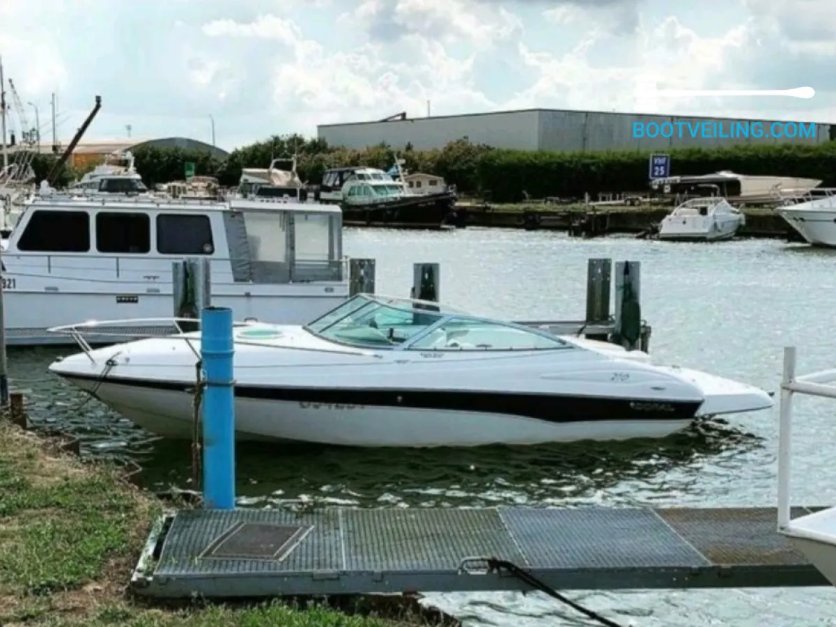 Polyester Speedboat Doral Escape 210