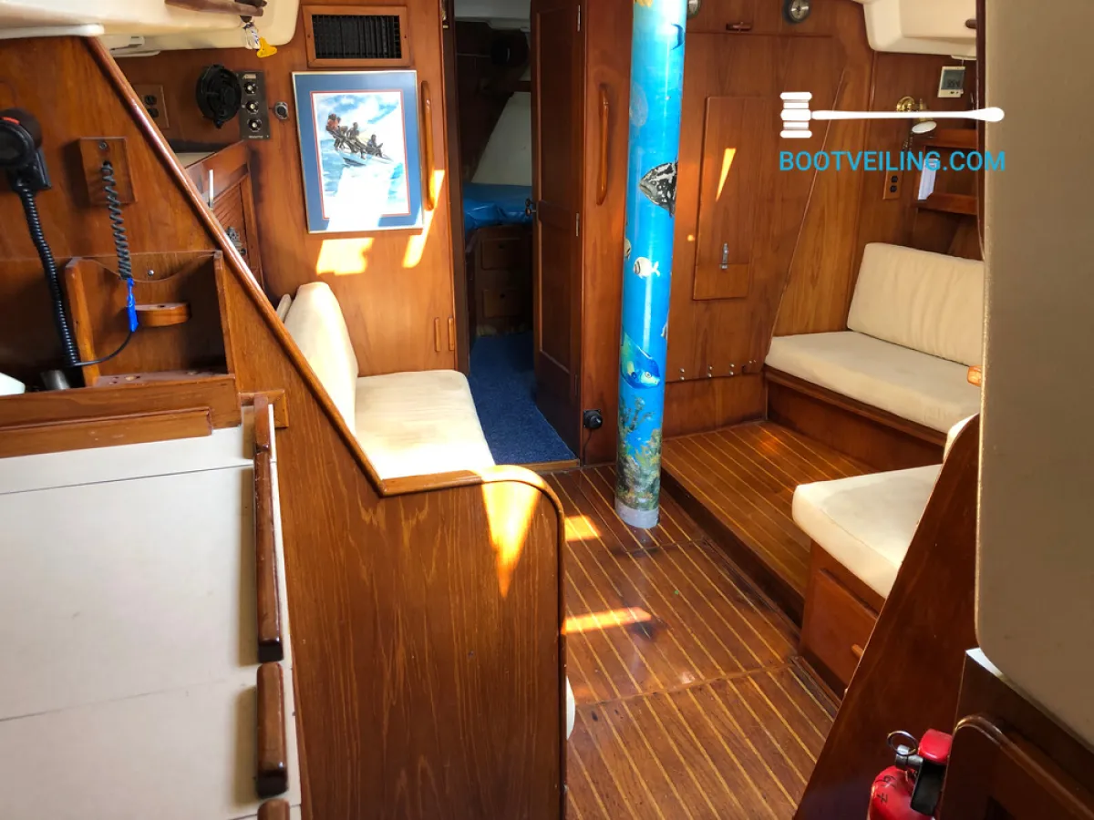 Polyester Sailboat Morgan 41