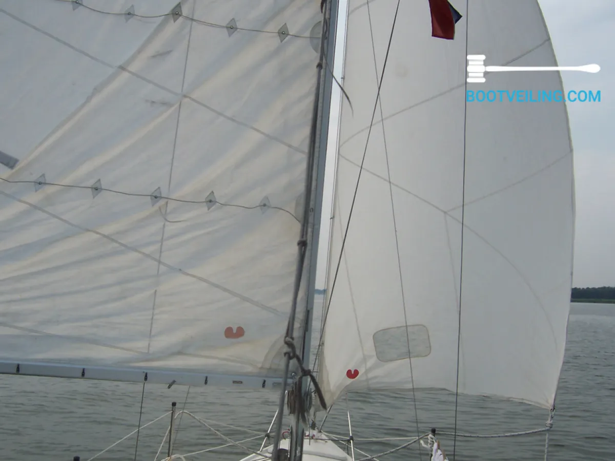 Polyester Sailboat Dehler Varianta 65