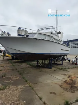 Polyester Motorboat Coronet Oceanfarer Wing Photo 2