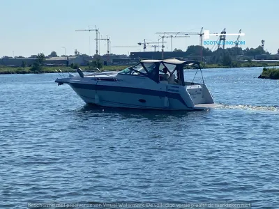 Polyester Speedboat Regal 265 Commodore Photo 4