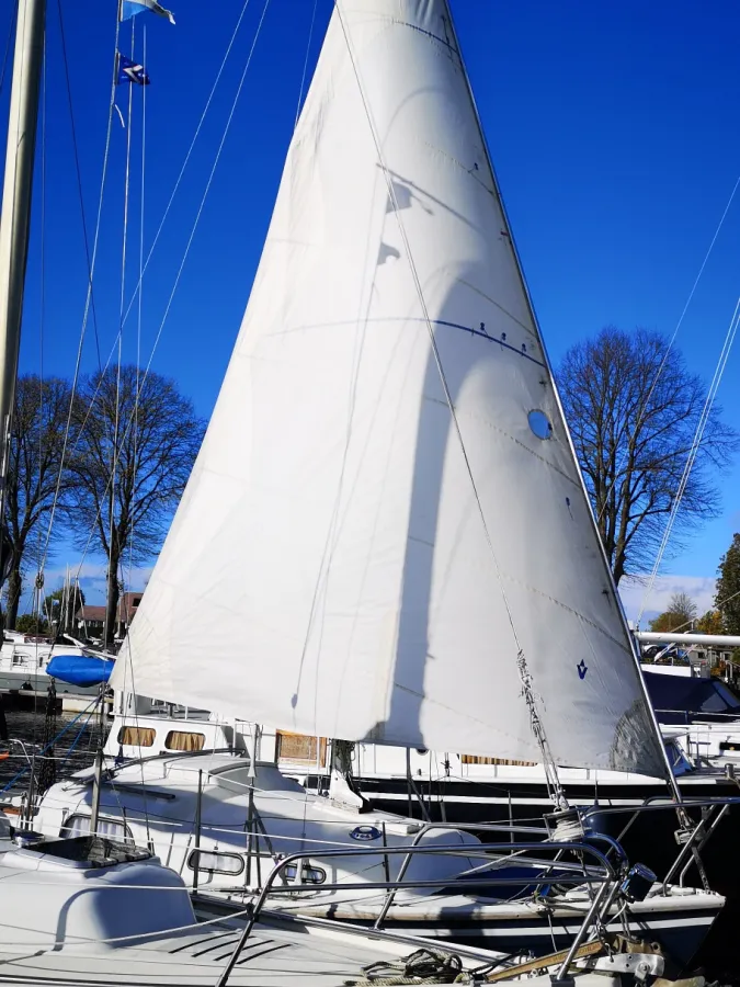 Polyester Sailboat Aldebaran 815