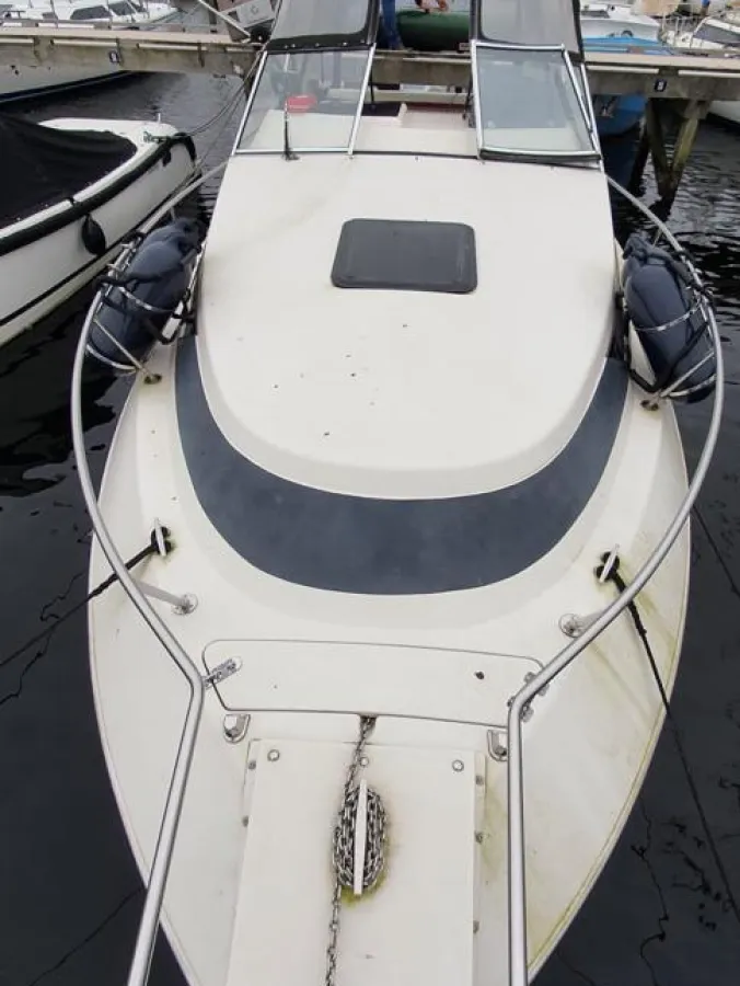 Polyester Speedboat Wellcraft Eclipse 253