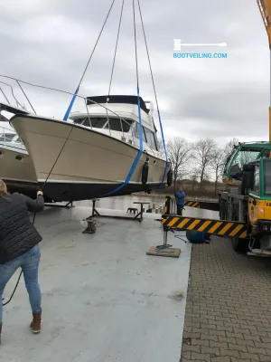 Polyester Motorboat Bayliner 3270 Photo 21