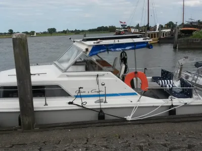 Polyester Motorboat Chris Craft Catalina 251 Photo 1