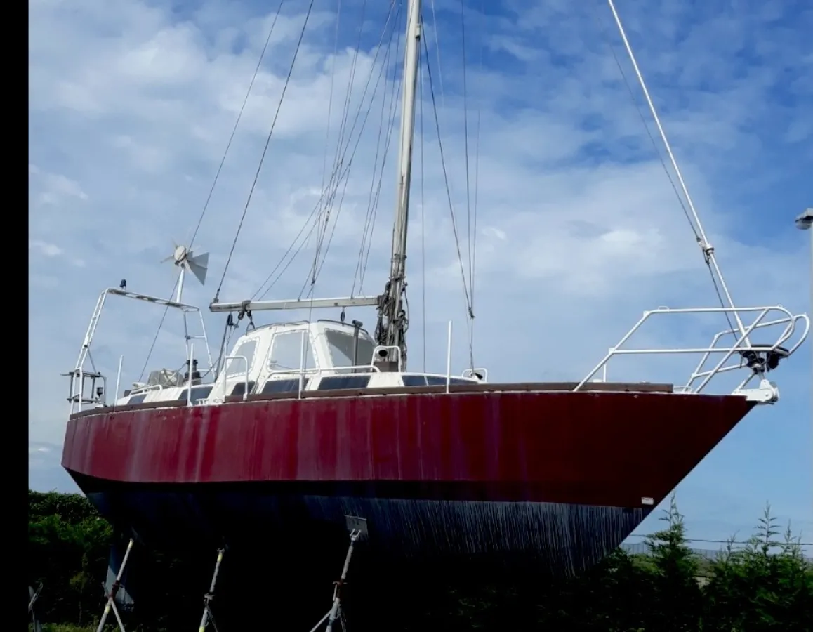 Steel Sailboat Albion 36