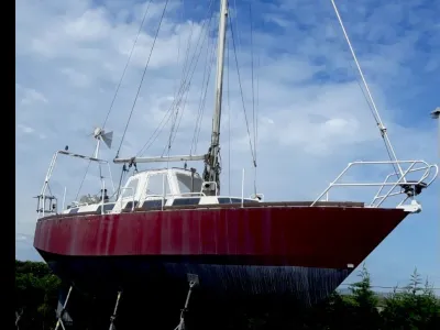 Albion 36