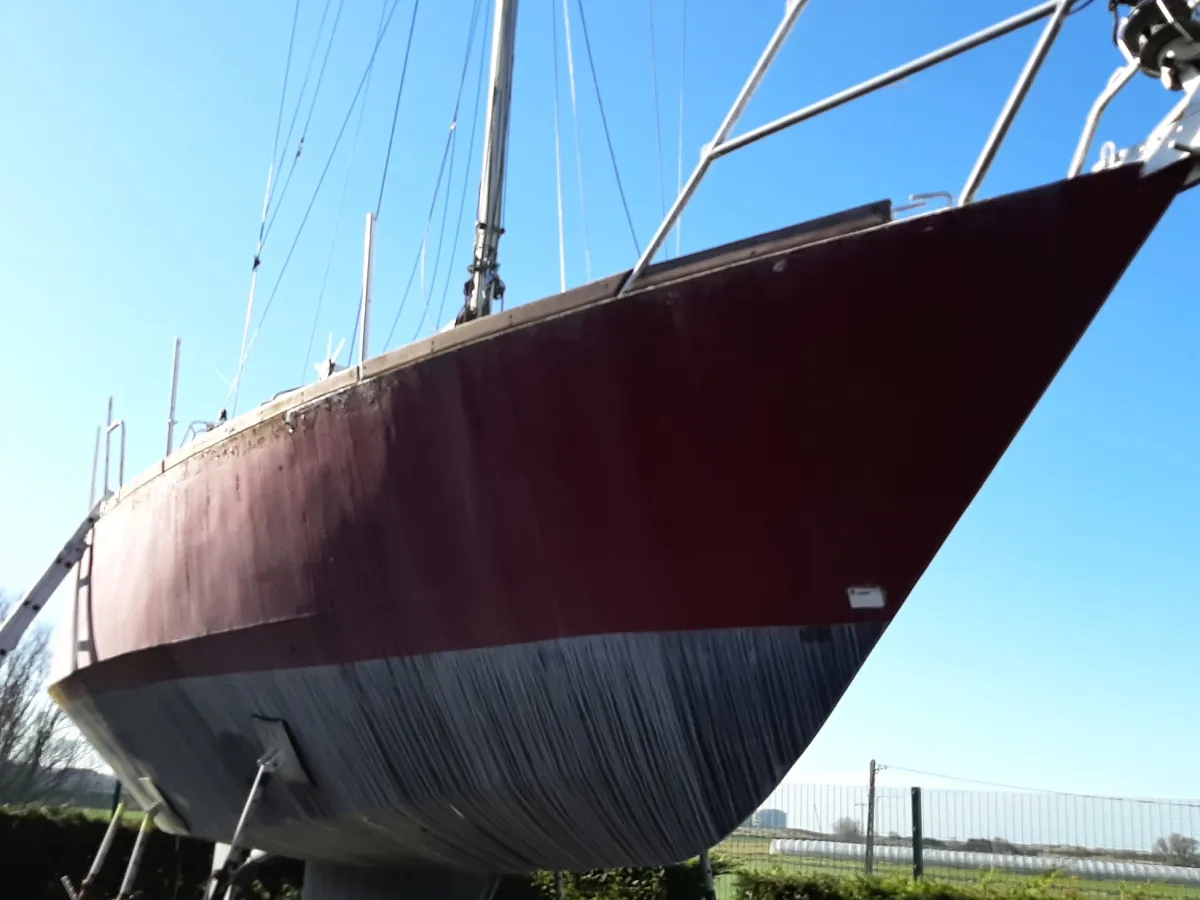 Steel Sailboat Albion 36