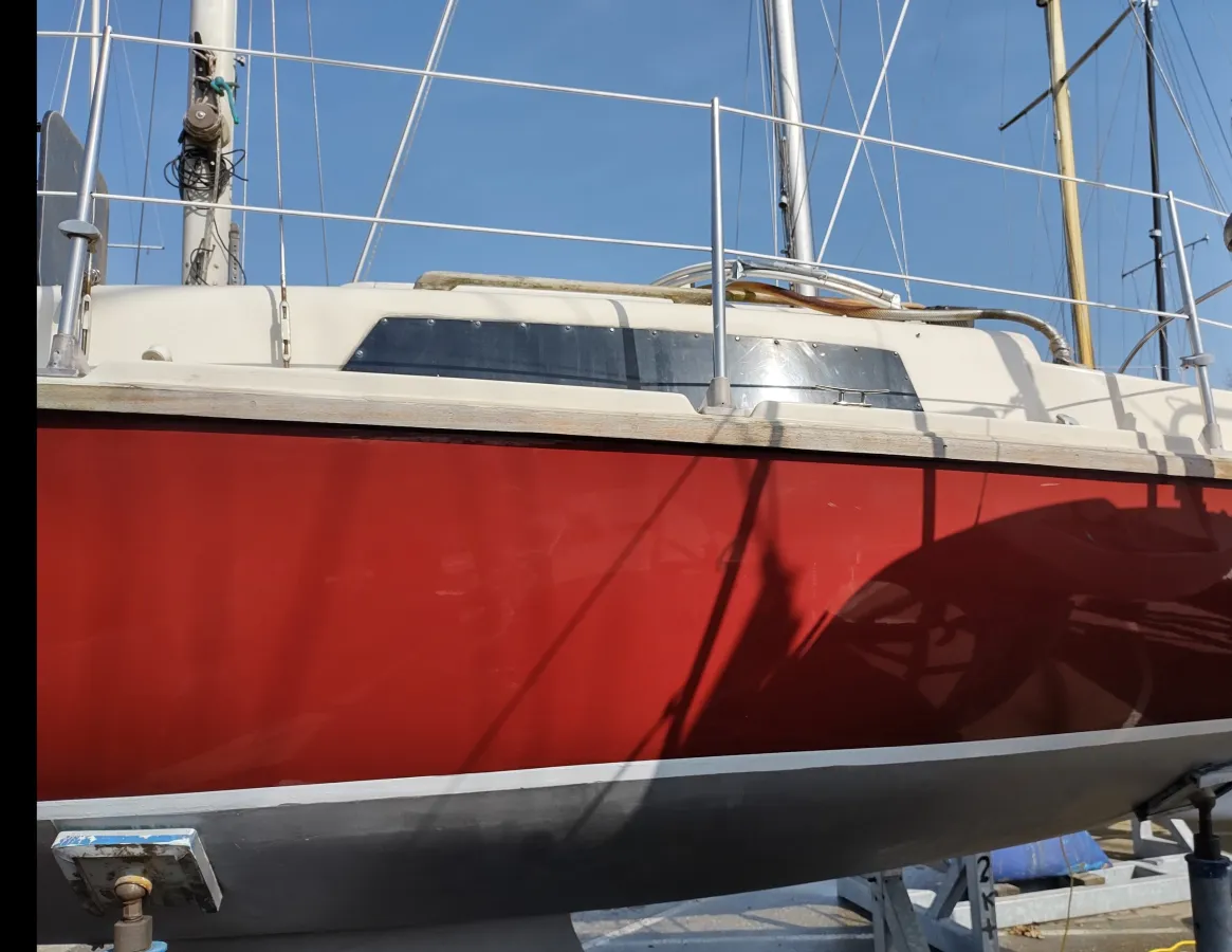 Polyester Sailboat Sirius 800