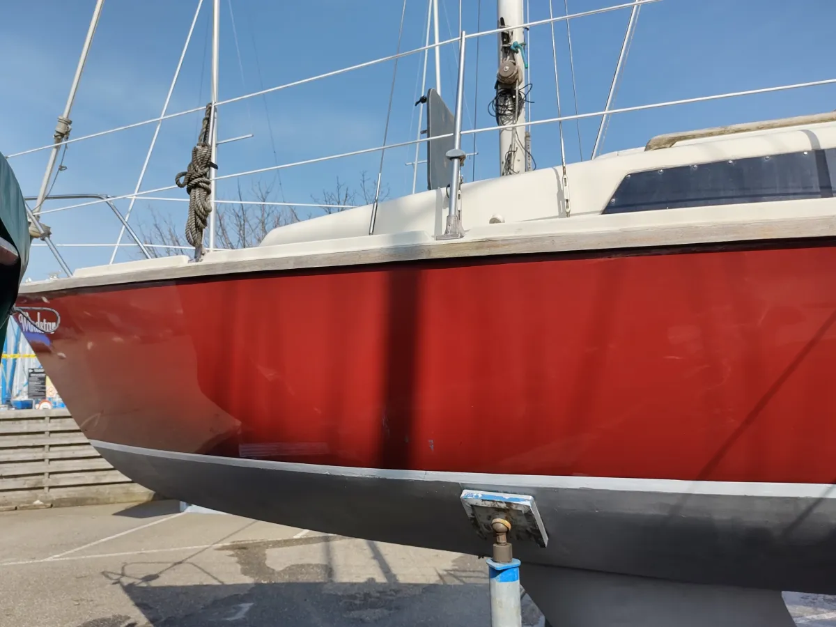 Polyester Sailboat Sirius 800