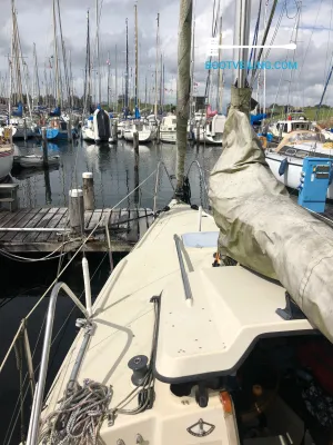 Polyester Sailboat Dehler Delanta 80 Photo 8