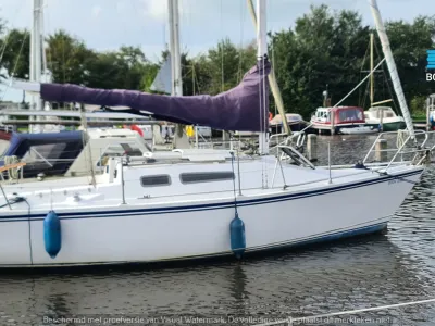 Polyester Sailboat Van de Stadt Dolphin 26 Photo 5