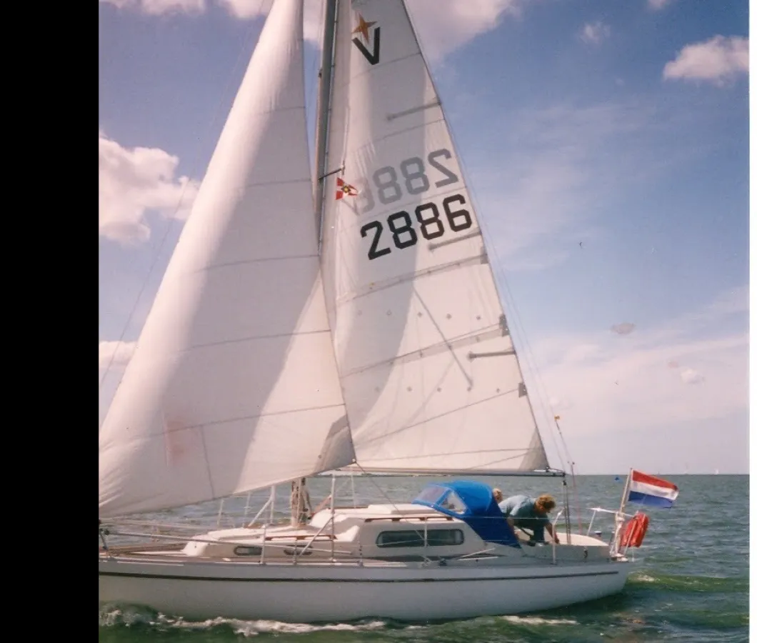 Polyester Sailboat Albin Vega 825