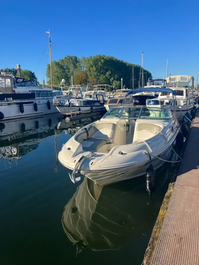 Polyester Speedboat Sea Ray 240 Sundeck