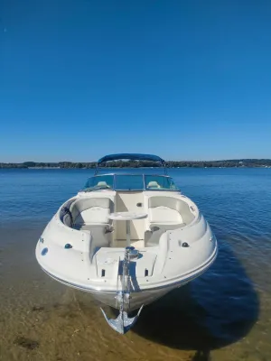 Polyester Speedboat Sea Ray 240 Sundeck Photo 12