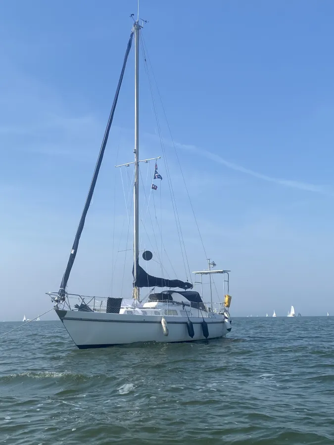 Polyester Sailboat Contest 31