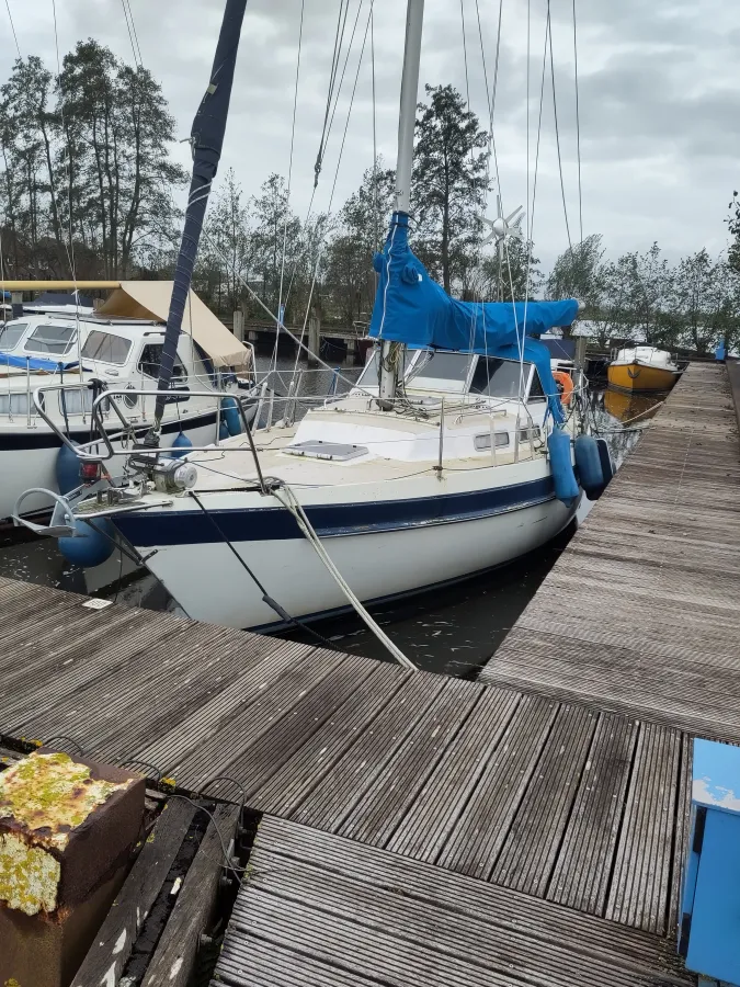 Polyester Sailboat Targa 96 Ak