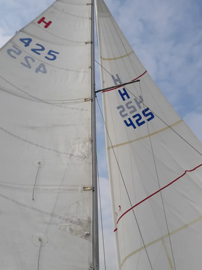 Polyester Sailboat Standfast Loper