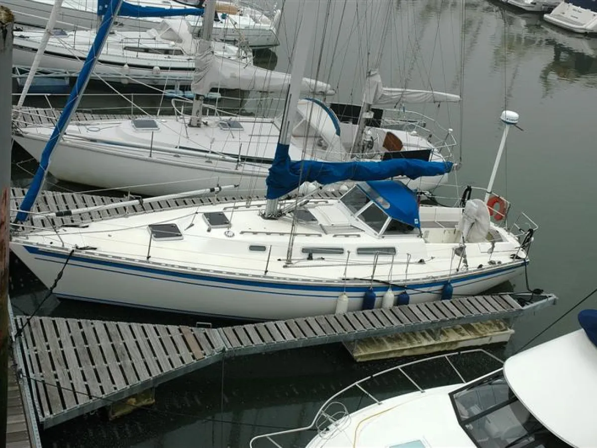 Polyester Sailboat Spirit 36