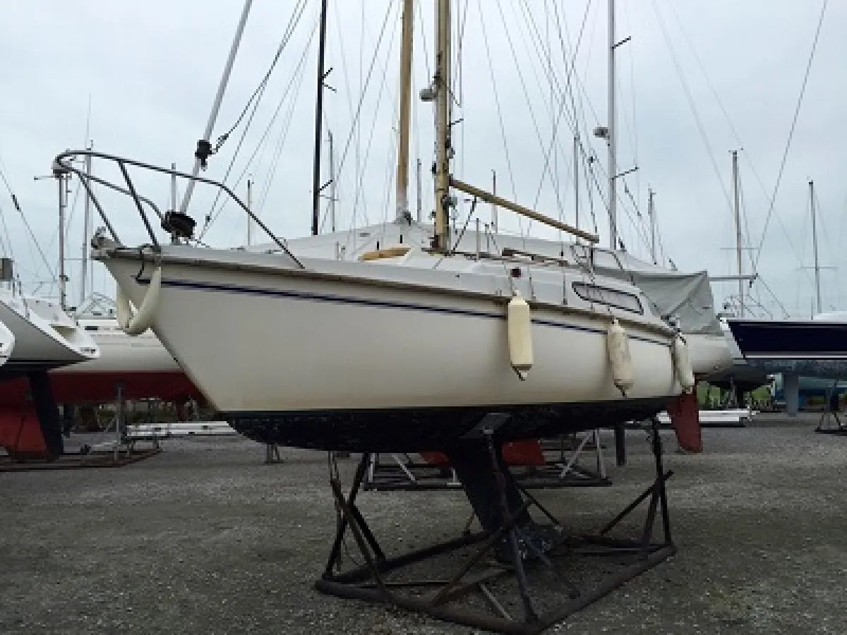 Polyester Sailboat Edel IV