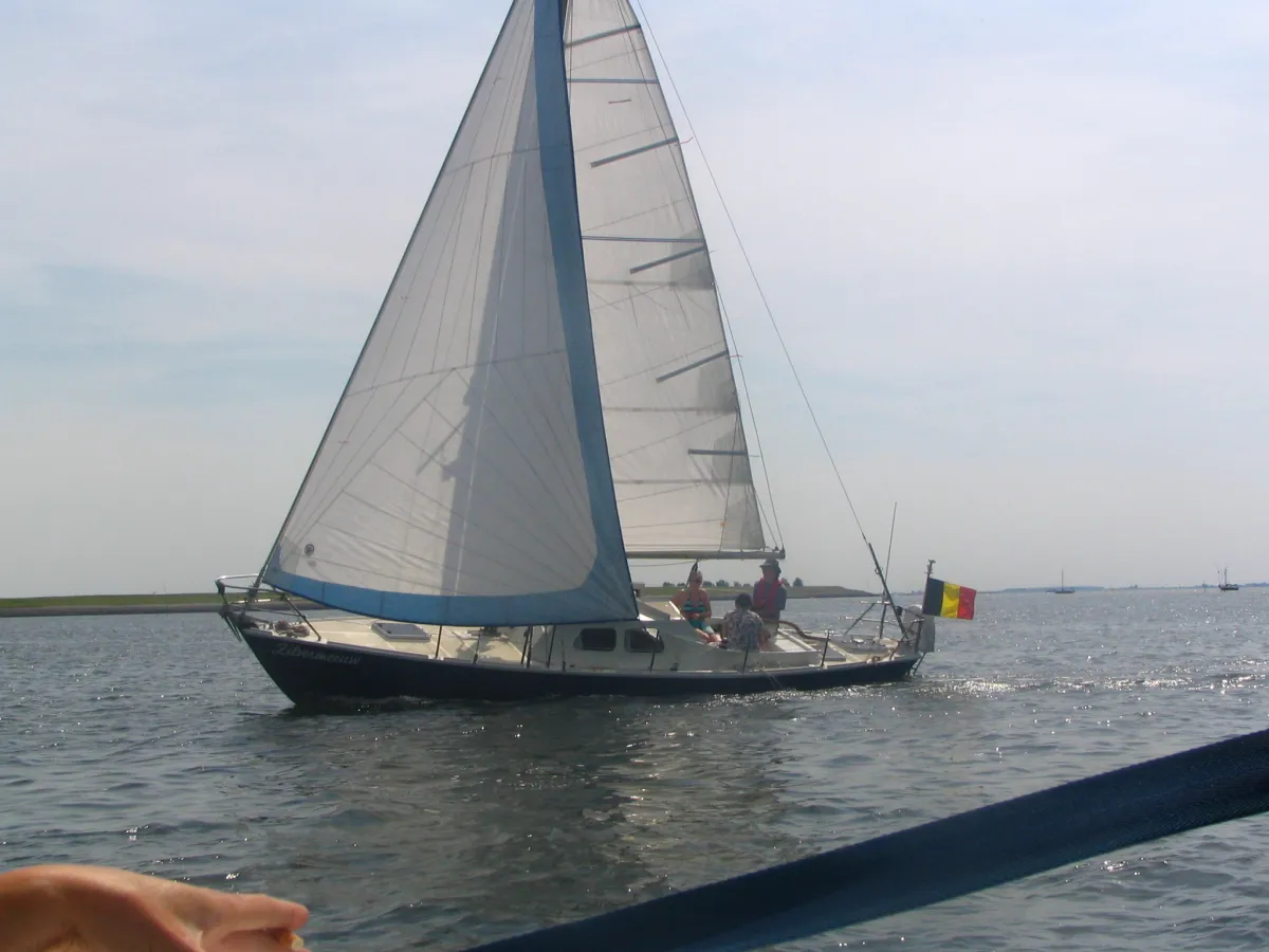 Wood Sailboat Van de Stadt Zweedse Delta