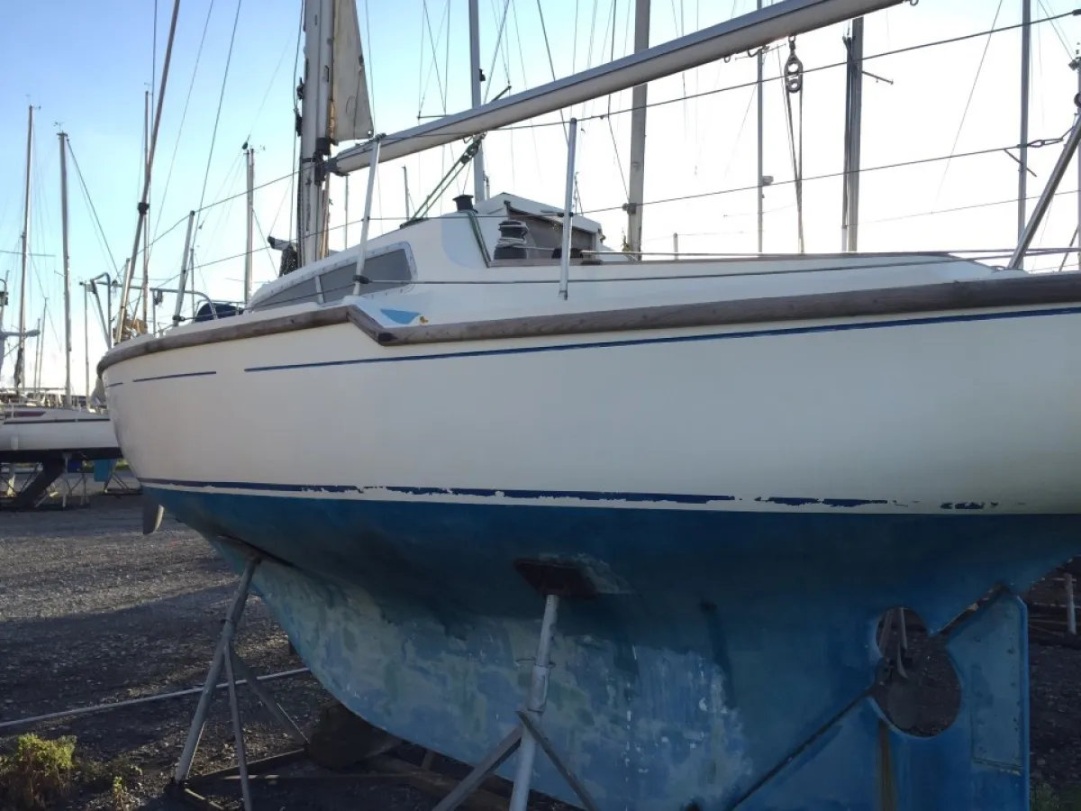 Polyester Sailboat Folkdancer 27