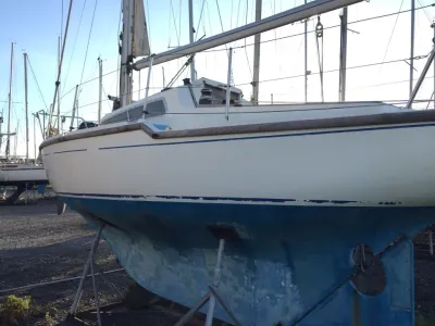 Polyester Sailboat Folkdancer 27 Photo 1