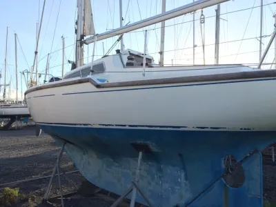 Polyester Sailboat Folkdancer 27 Photo 2