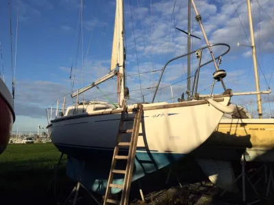 Polyester Sailboat Folkdancer 27 Photo 5