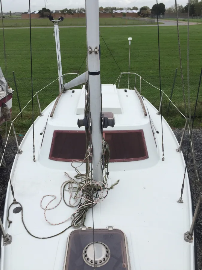 Polyester Sailboat Wrighton SA Biloup 77