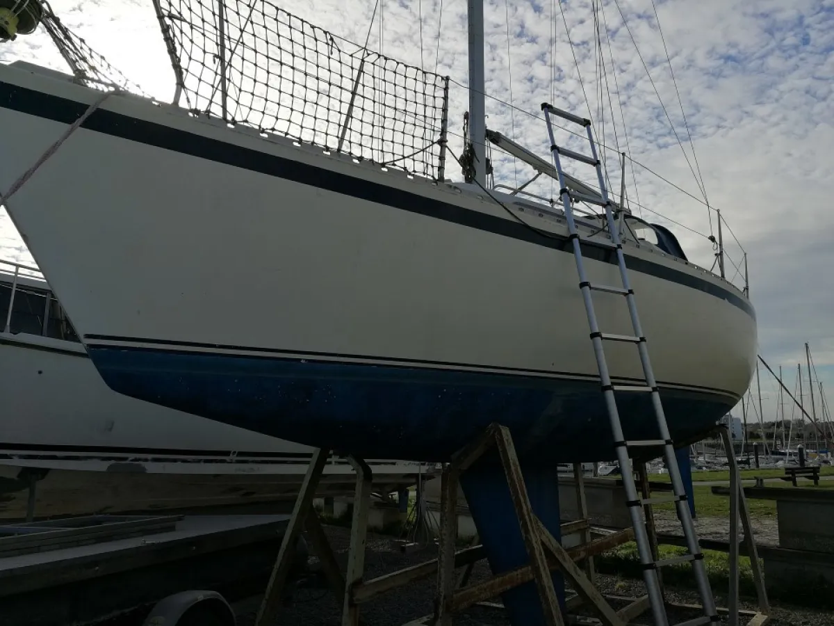 Polyester Sailboat Camper & nicholsons 303