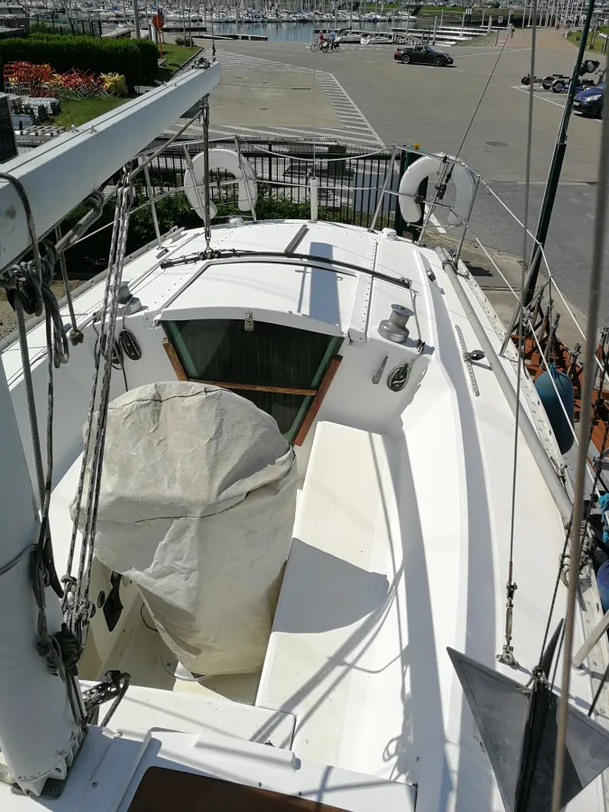 Composite Sailboat Yamaha 29