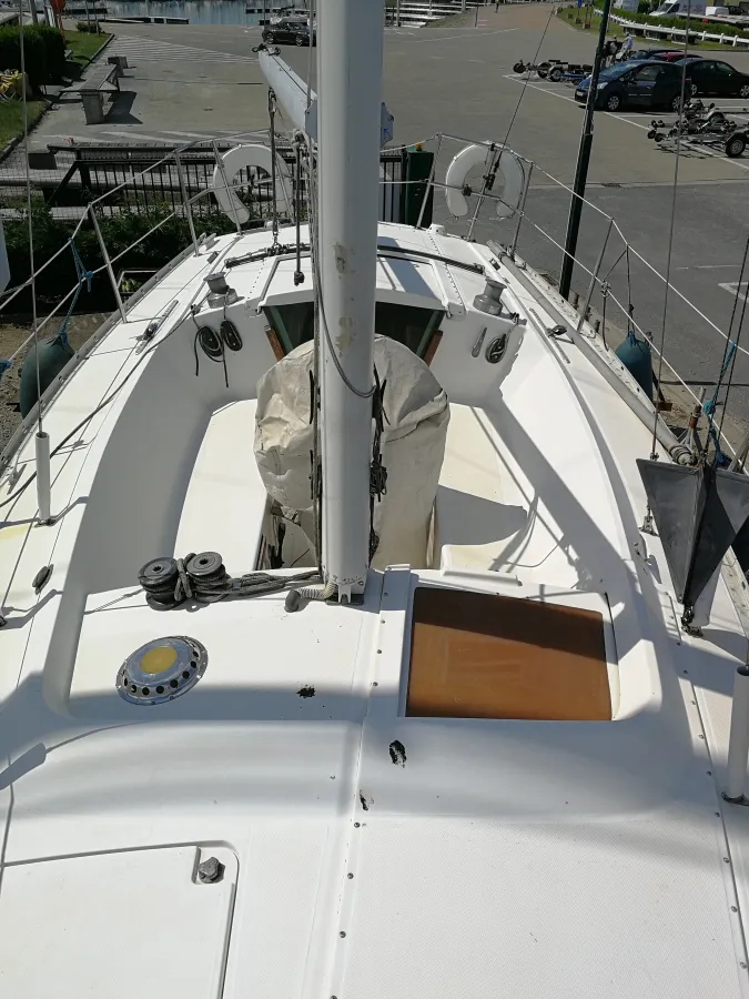 Composite Sailboat Yamaha 29