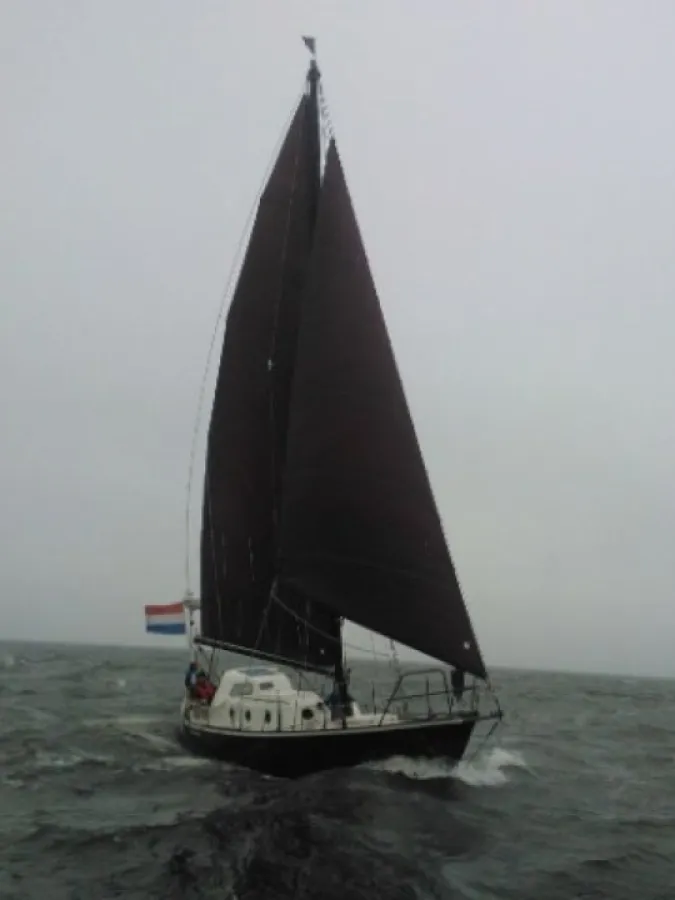 Steel Sailboat Koopmans 33