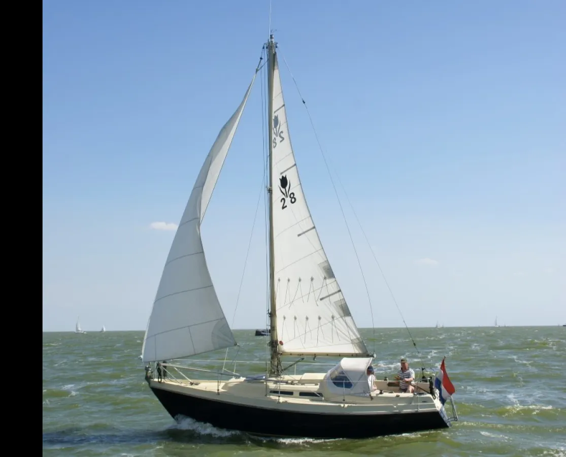 Polyester Sailboat Contest 28