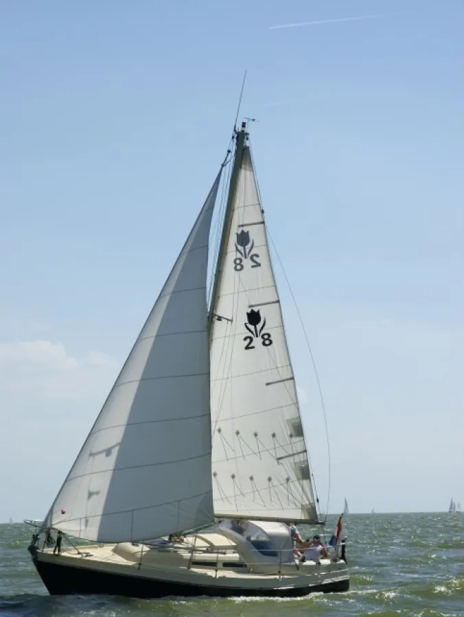 Polyester Sailboat Contest 28