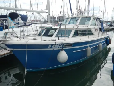 Kruiser Argo 34