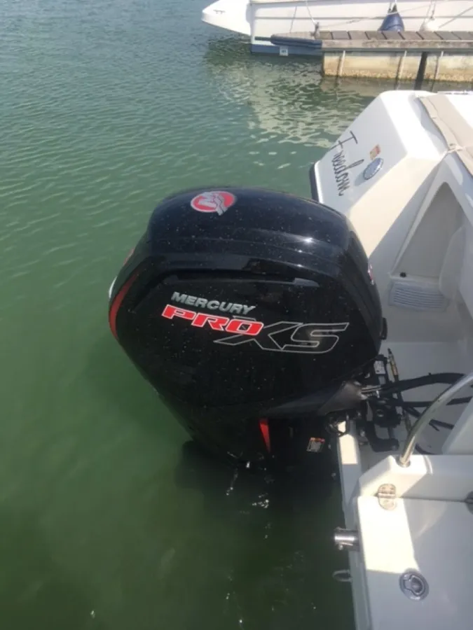 Polyester Speedboat Quicksilver 605 Pilothouse