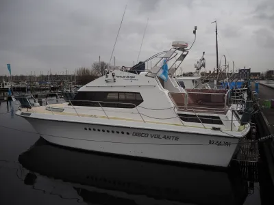 Polyester Motorboat Powles 38 MKII 11,60 Meter Photo 20