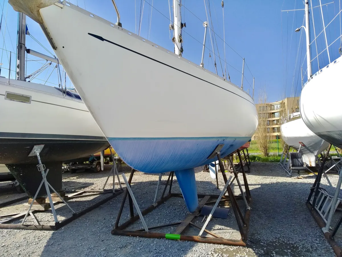 Polyester Sailboat Carter 301 -Teliga 89