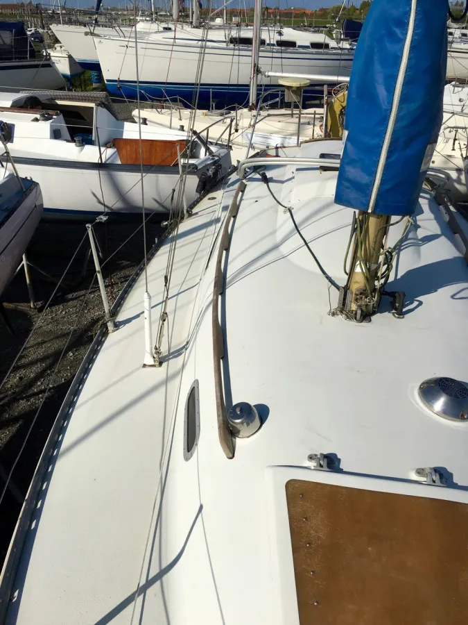 Polyester Sailboat Trapper 500