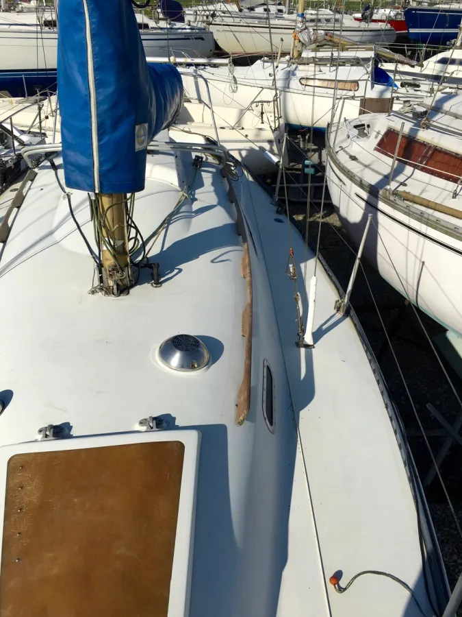 Polyester Sailboat Trapper 500