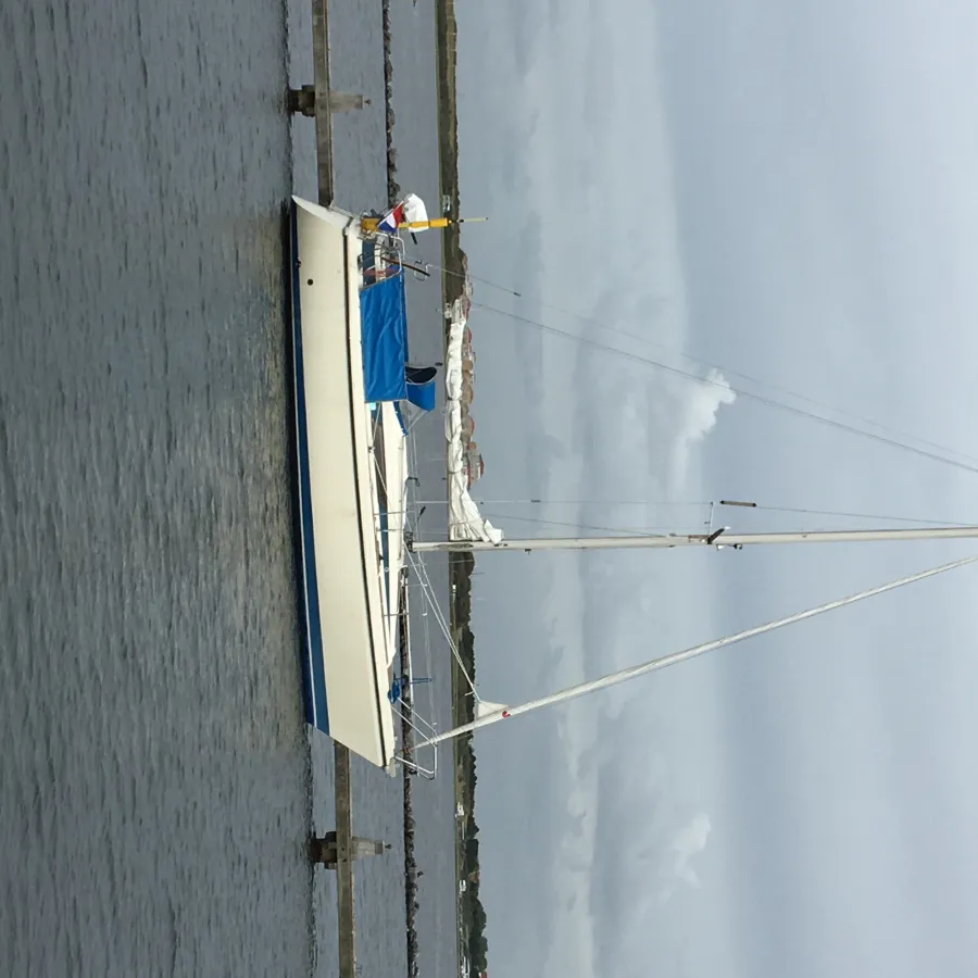 Polyester Sailboat Bavaria 890